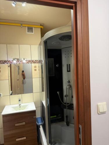 a bathroom with a shower and a sink at Apartament Piętrowy 138m2 in Gniezno