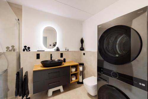 a bathroom with a sink and a washing machine at Traumnest Eifel mit Sauna & Whirlpool in Monschau
