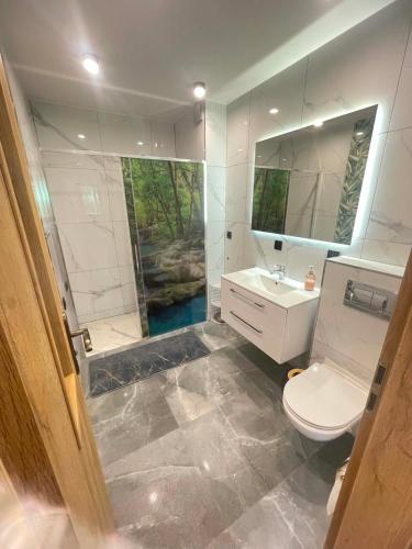 a bathroom with a toilet and a sink and a shower at Akacjowe Wzgórze in Ruciane-Nida