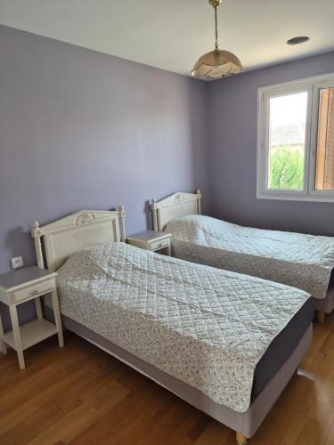 a bedroom with two beds and a window at Maison de Luxe 2 in Chalon-sur-Saône