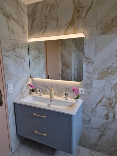 a bathroom with a sink and a mirror at Maison de Luxe 2 in Chalon-sur-Saône