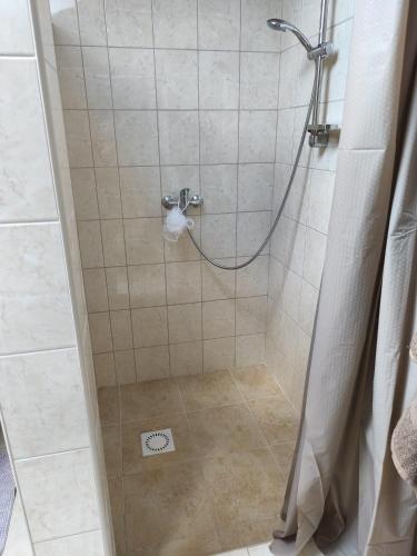 a shower with a glass door in a bathroom at Chata Leonard in Farná