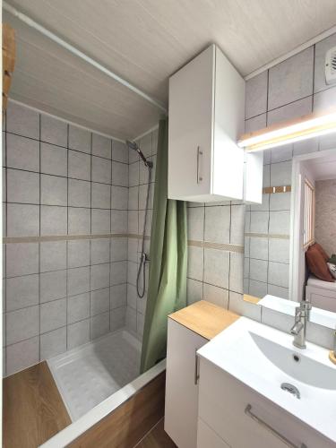a bathroom with a shower and a sink at Maison des Arches in Barbentane
