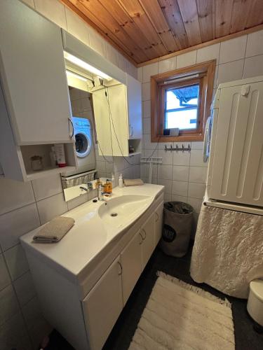 a bathroom with a white sink and a mirror at Lyngbu på Stavtjørn in Vikeså