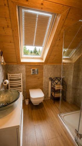 a bathroom with a toilet and a sink and a window at Domki na Szlaku in Brenna