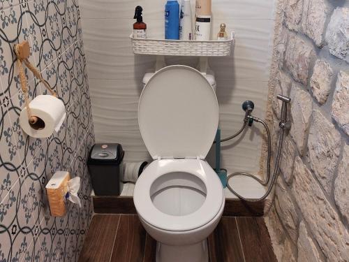 a small bathroom with a toilet with a shower at The Essence Tzimer in Safed