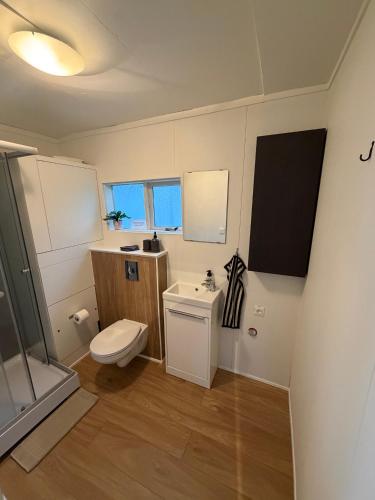a bathroom with a toilet and a sink at Krókur Guesthouse in Patreksfjörður