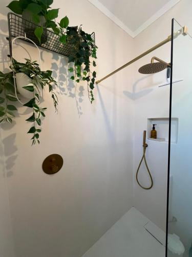 a white bathroom with plants on the wall at Quinta Do Priorado in Moncarapacho