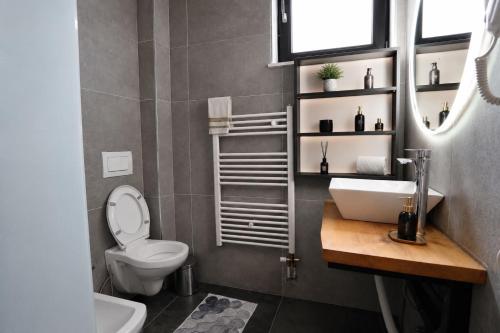 a bathroom with a sink and a toilet and a mirror at Black Villa in Prizren