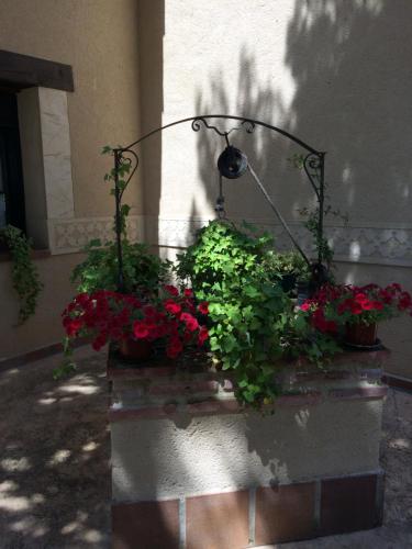 a group of flowers in pots on a wall at La Senda Del Duratón in Sebúlcor