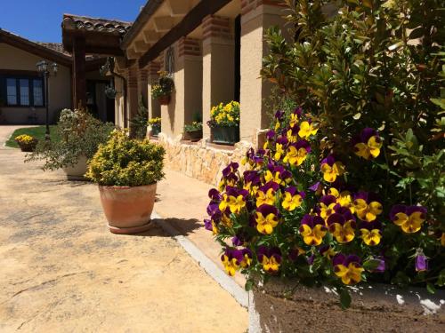 a bunch of flowers in front of a house at La Senda Del Duratón in Sebúlcor