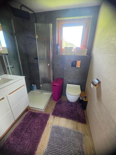 a bathroom with a shower and a toilet and a sink at Domek wakacyjny Domysłów in Domysłów