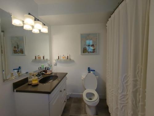 a bathroom with a toilet and a sink and a mirror at Davidson Lake House in Sooke