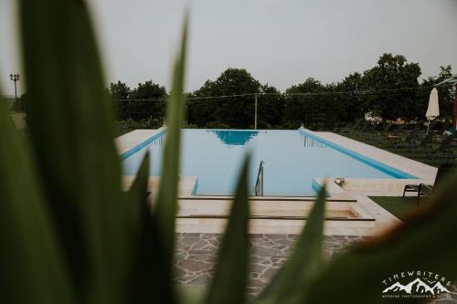 a swimming pool with green plants in the foreground at Conac Polizu in Maxut