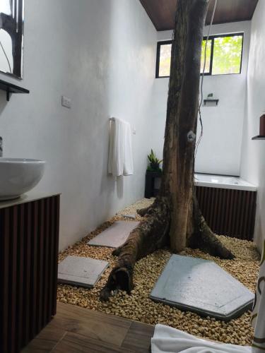 a bathroom with a tree growing out of the floor at Monstera Forest Lodge in Fortuna