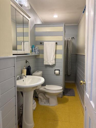 a bathroom with a white toilet and a sink at Cozy Oneonta Getaway in Oneonta