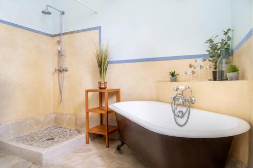 a bath tub in a bathroom with a shower at 5 Family Apartments with Pool & Large Garden in Historic Pézenas Convent in Pézenas