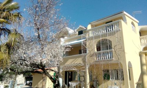 Apartments Meri