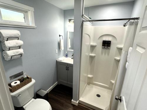 a bathroom with a shower and a toilet and a sink at The Hut at Deer Hollow in Three Rivers