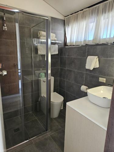 a bathroom with a shower and a toilet and a sink at The Apple Inn in Batlow