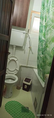 a bathroom with a toilet and a shower curtain at Konak Pahulja TARA in Bajina Bašta