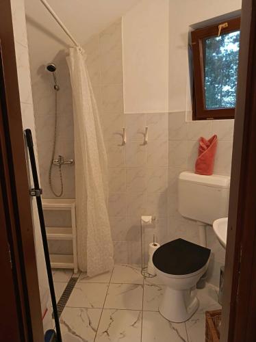 a bathroom with a toilet and a shower at Elo Apartman in Csokonyavisonta