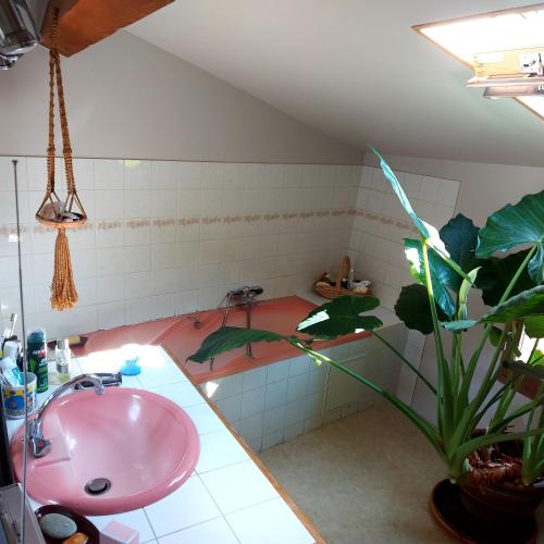 a bathroom with a pink sink and a plant at Charensol in Saint-Sauveur-de-Montagut