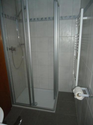 a bathroom with a shower and a toilet at Ferienwohnungen Marchanger in Niederau