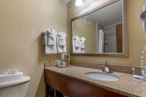a bathroom with a sink and a toilet and a mirror at Comfort Inn Fort Mill Amusement Park at Carowinds Blvd in Fort Mill