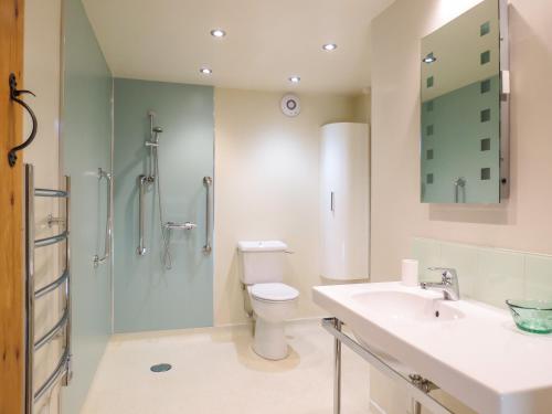 W łazience znajduje się toaleta, umywalka i prysznic. w obiekcie Appletree Cottage Fressingfield w mieście Fressingfield
