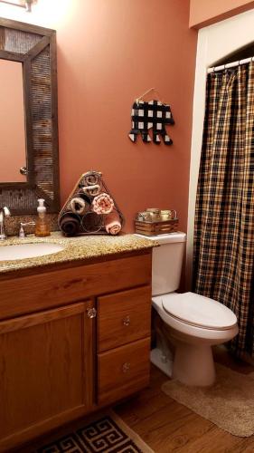 a bathroom with a toilet and a sink and a shower at Rustic Tree Top Cabin in Sky Valley, Georgia in Sky Valley