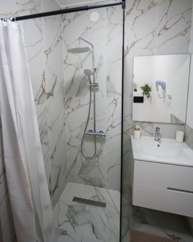 a bathroom with a shower and a sink at ELITEO GUESTHOUSE Dabuleni in Dăbuleni