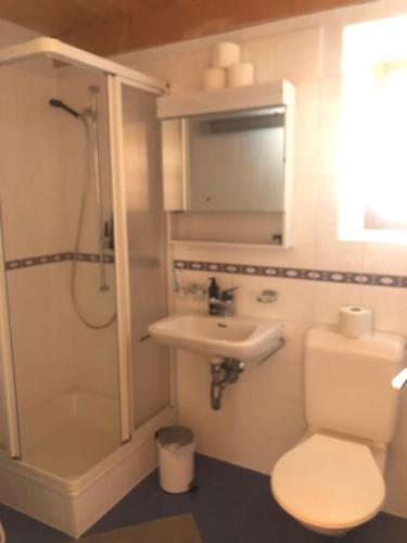 ein Badezimmer mit Toilette, Waschbecken und Dusche in der Unterkunft Rustico Scoperta in Linescio