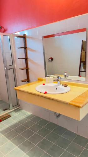 a bathroom counter with a sink and a mirror at Flame Tree Cottages in Nungwi