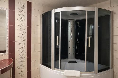 a glass shower in a bathroom with a sink at Trojak Mysłowice in Mysłowice
