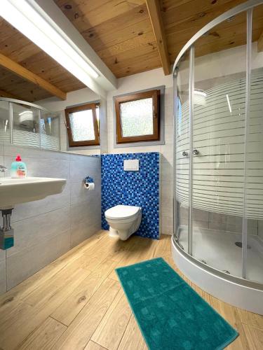 a bathroom with a shower and a toilet and a sink at AchKaszuby domki nad morzem in Puck