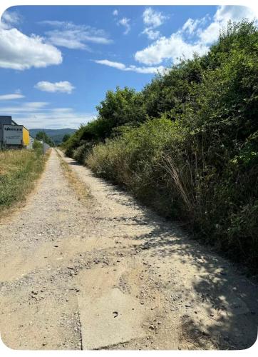 a dirt road with bushes on the side of a hill at Casa Fred in Sîmbotin