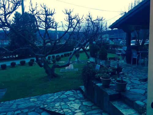 a garden with a tree in the yard at Posada rural el rincón de Cabrojo in Cabrojo