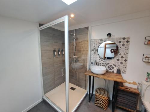 a bathroom with a shower with a sink and a mirror at LA PETITE BEAUVAISIENNE in Beauvais
