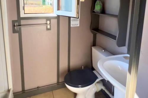 a small bathroom with a black toilet and a sink at Camping la Source in Thérondels