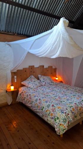 a bedroom with a bed with a mosquito net at La Case Tonton de Petite Île in Petite Île