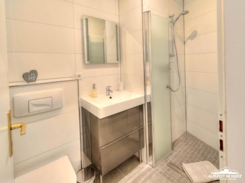 a bathroom with a sink and a shower at Auszeit im Harz Haus 1 Wohnung Feuerstein in Schierke
