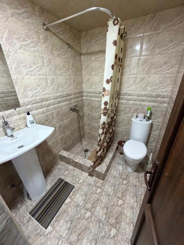 a bathroom with a shower and a toilet and a sink at ElMar Guesthouse in Sevan