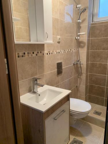 a bathroom with a sink and a toilet at Eliksir in Gornja Trepča