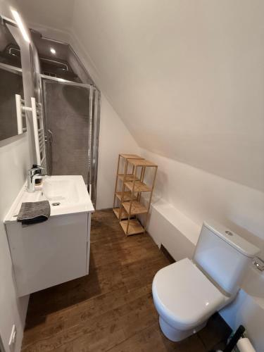 a bathroom with a white toilet and a sink at La Maison du Colonel in Sainte-Eulalie