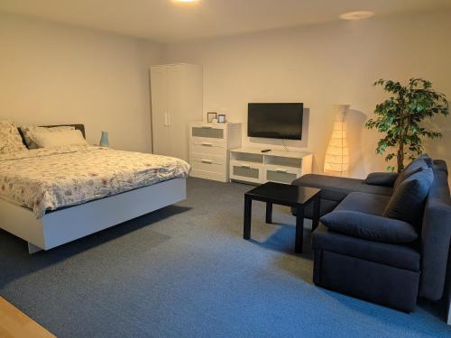 a bedroom with a bed and a tv and a couch at Ferienwohnung Tammer Allee in Tamm