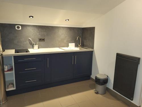 a kitchen with blue cabinets and a sink at Gîte du grand braquet in Puget-Théniers