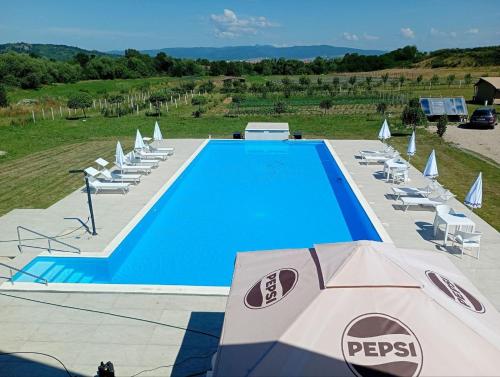 an overhead view of a swimming pool with chairs and umbrellas at Pensiunea Cocosel in Căstău