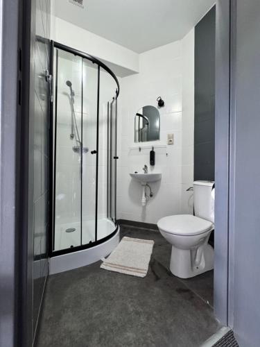 a bathroom with a shower and a toilet and a sink at Willa Konstancja in Aleksandrów Łódzki