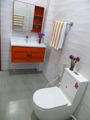 a bathroom with a toilet and a sink and a mirror at Villa Nadika in Beruwala